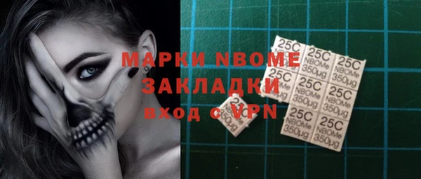 прущие грибы Каменногорск