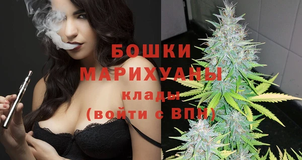 мет Инта