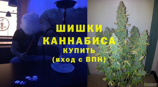 прущие грибы Каменногорск