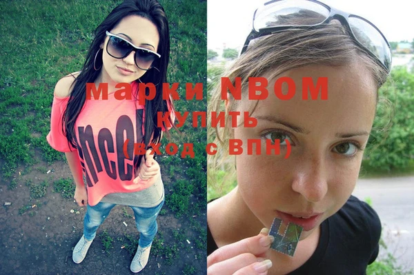 мет Инта