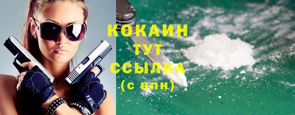 прущие грибы Каменногорск