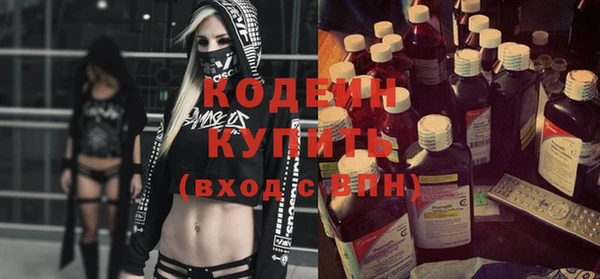 прущие грибы Каменногорск