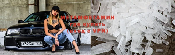 прущие грибы Каменногорск