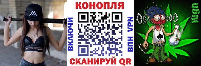 Шишки марихуана AK-47  купить наркоту  Стародуб 
